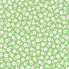 Seamless ditsy floral pattern in vector. Small white flowers on a green background.