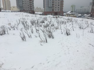 Obraz premium winter in the park