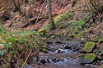 Die Lochbachklamm im Knüll