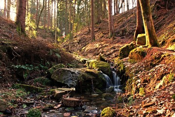 Die Lochbachklamm im Knüll