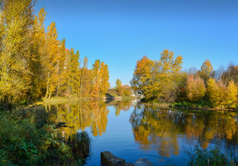 Golden autumn on the river Slavyanka in St. Petersburg. Different trees in the autumn beautiful decoration.