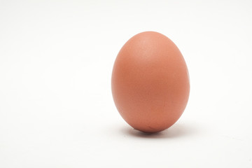 Many eggs on a white scene