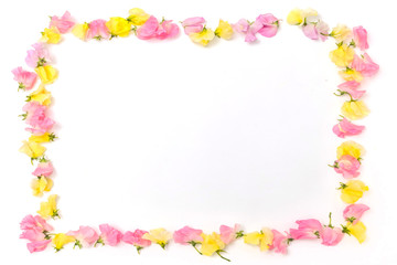 Fototapeta na wymiar 花のフレーム　Beautiful flowers of the frame