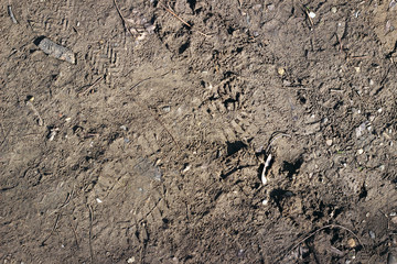 Footprint mud ground soil surface texture