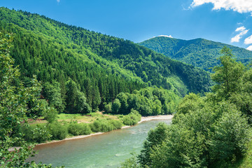 forest river in mountains. forested hill and shore with pebble beach. beautiful summer landscape at sunny high noon. fluffy cloud on the blue sky