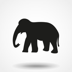 Black elephant silhouette. Vector shadow icon.