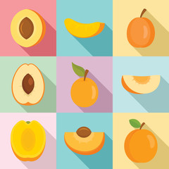Apricot icons set. Flat set of apricot vector icons for web design