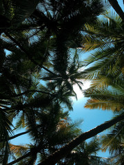 Vacation to Beach Shore coastline