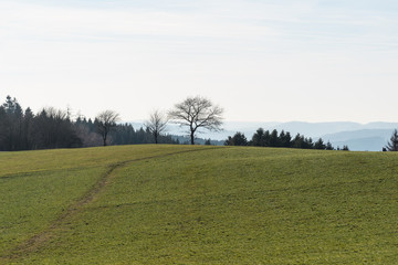 Idylische Landschaften