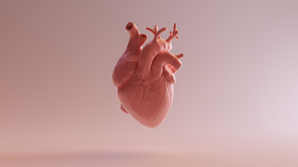 Pink Porcelain Anatomical Heart 3d illustration 3d render - 249894329