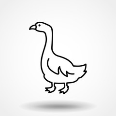 Fototapeta na wymiar Goose linear icon. Modern outline Goose logo concept on white background from animals collection. Suitable for use on web apps, mobile apps and print media.