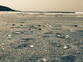 Vacation to Beach Shore coastline