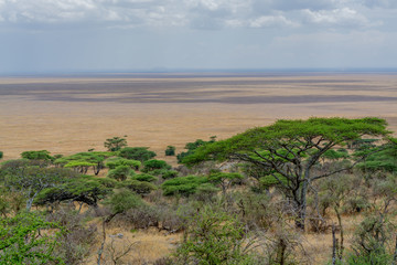 Fototapeta na wymiar Serengueti, Tanzania