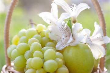 Fototapete bei efototapeten.de bestellen   