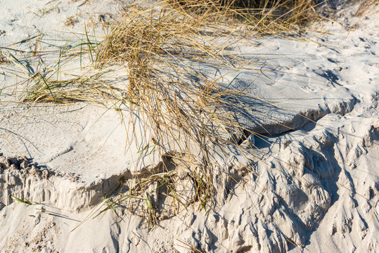 Sandtextur f&uuml;r Hintergr&uuml;nde