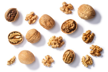 Walnuts j. regia seeds, paths, top