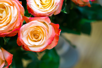 Fototapeta na wymiar Pink roses in a bouquet
