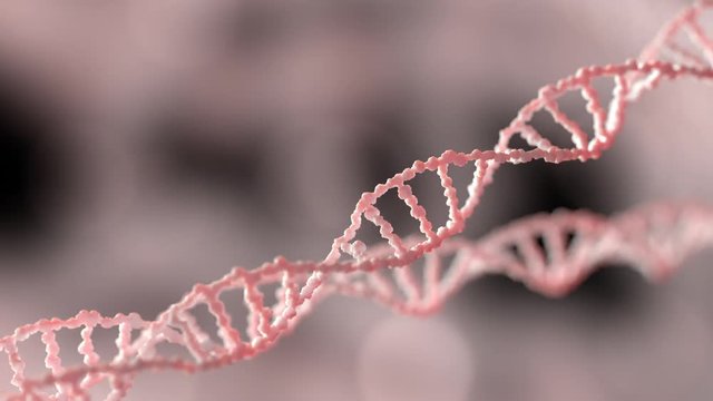 DNA genetic material