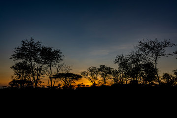 Fototapeta na wymiar Serengueti