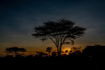 Fototapeta na wymiar atardecer en Serengeti