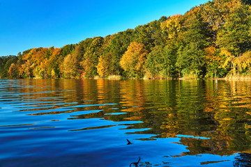 Colorful trees on the lake during autumn in Poznan..