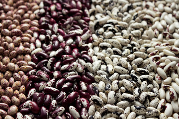 Different types of beans - kidney, variegated beans, anasazi, background. Leguminous, red, white, beige and black beans