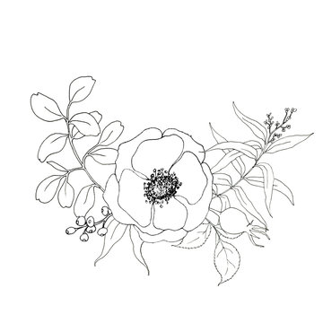 recommend clip art: Sketch anemone and greenery bouquet. Hand painted flowers and berries with eucalyptus leaves and branch isolated on white background for design, print or fabric.