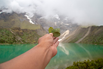 ritual of coca to the pachamama in humantay lake in Peru on Salcantay mountain in the Andes
