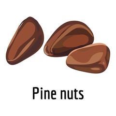 Pine nuts icon. Cartoon of pine nuts vector icon for web design isolated on white background