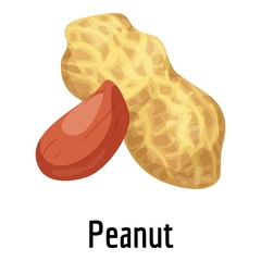 Peanut icon. Cartoon of peanut vector icon for web design isolated on white background