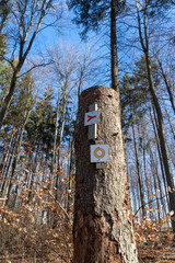 Donautal / Hausen im Tal / Schaufelsen
