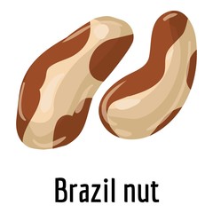 Brazil nut icon. Cartoon of brazil nut vector icon for web design isolated on white background