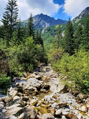 Tatry