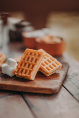 Two tasty waffles. Vertical food photo.