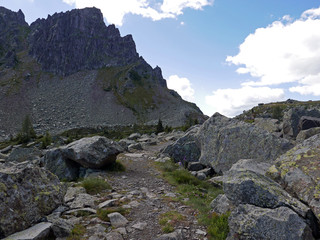 bella vista delle cime montuose dolomitiche in italia, in estate