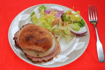 Ham and Cheese sandwich on toasted roll with green salad on red BG