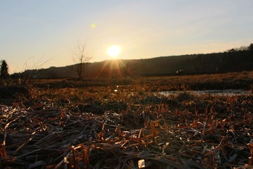Sonnenuntergang - Natur - Sumpf