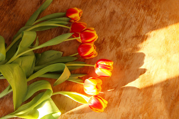 Tulips on gray wooden background