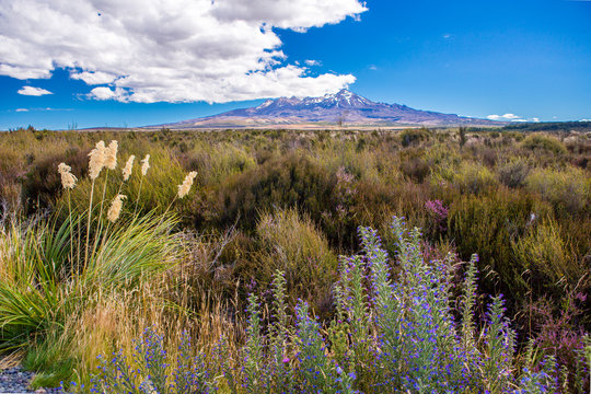 Mount Ruapehu, North island of New Zealand, Desert Highway