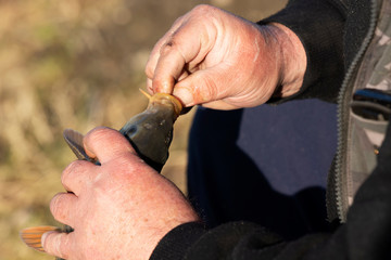 Angler with fish at Lake Balaton, Hungary