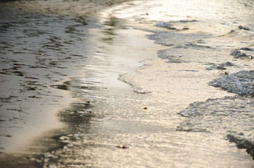 coast of the caribbean sea. wild beach