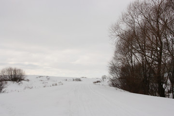 Winter road in the meadows