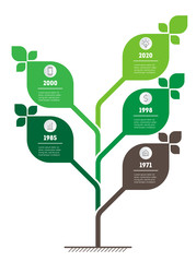 Vertical green infographics or timeline. Business concept with 5 options, steps or processes. The sustainable development and growth of the eco business.
