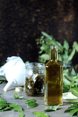 infusion of laurel leaves alcohol. liquor from laurel. Fresh leaves of laurel tree are taken and insisted on alcohol or vodka. popular in the Mediterranean. in Italy called 