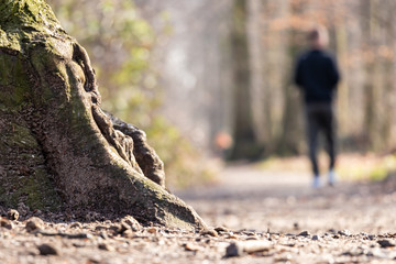 Spaziergang im Wald