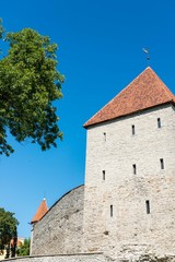 castle in Tallinn