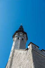 Fototapeta na wymiar castle in Tallinn