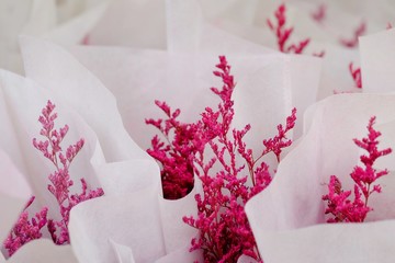 In selective focus of a red flower blossom in a paper packaging and selling at the florist shop 