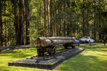 Timber logs on a railway carriage at Powell Town in Victoria Australia