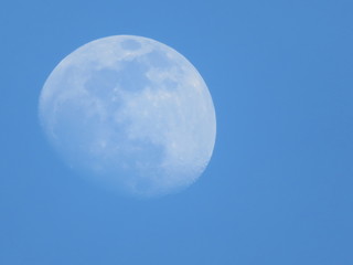 Beautiful moon that never fails to appear at night and day